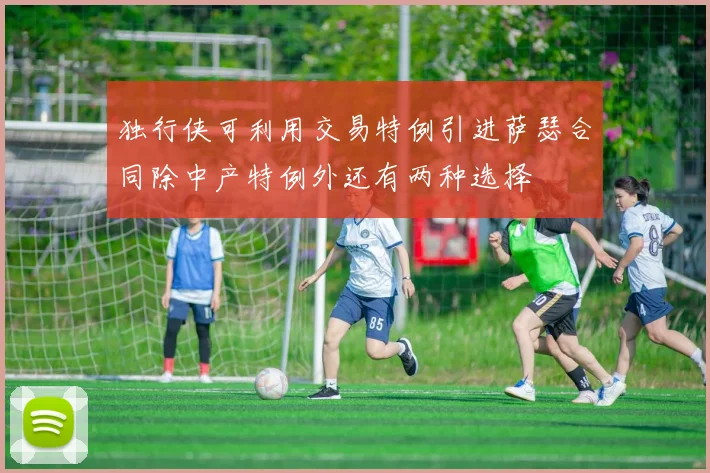 独行侠可利用交易特例引进萨瑟合同除中产特例外还有两种选择